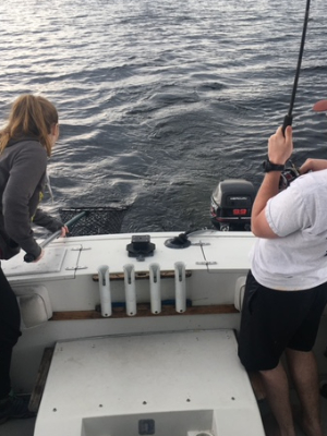 Landing a salmon for the Cure
